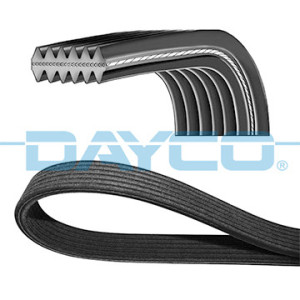 KEILRIPPENRIEMEN VW...