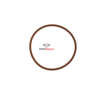 O-RING / EINSPRITZPUMPE...