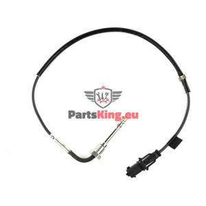 ABGASTEMPERATURSENSOR /...