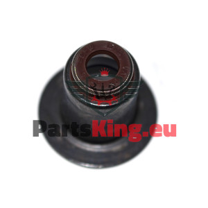 VENTILDICHTUNG DAILY DUCATO...