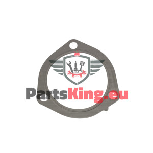 DICHTUNG / EINSPRITZPUMPE...