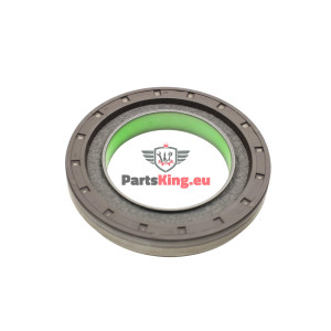 DICHTUNG IVECO DAILY 2014-...