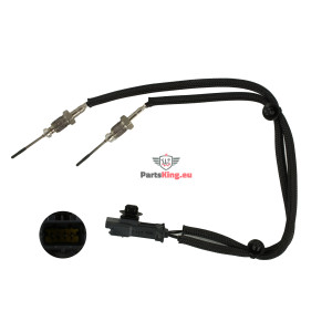 ABGASTEMPERATURSENSOR...