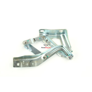 MOTORHAUBENSCHARNIER BIPPER...