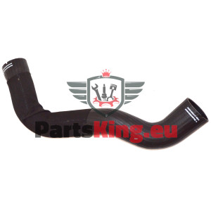 LADELUFTSCHLAUCH  FIAT...