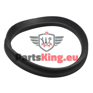 DOMLAGERSCHUTZ BOXER DUCATO...