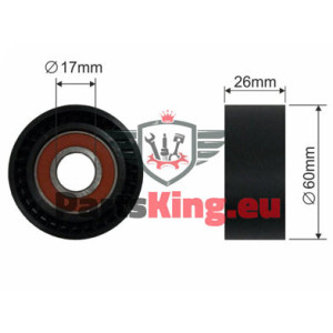 RIEMENSPANNER CITROEN...