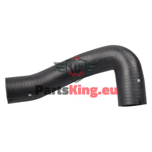 LADELUFTSCHLAUCH FIAT...