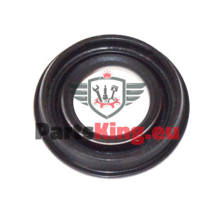 DICHTUNG / EINSPRITZDÜSE...