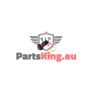 HOHLSCHRAUBE RENAULT MASTER...