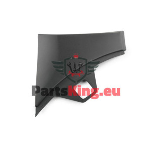 SCHUTZLEISTE AUSSEN FORD...