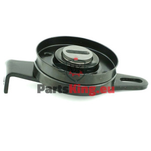 RIEMENSPANNER CITROEN...