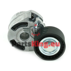 RIEMENSPANNER CITROEN...