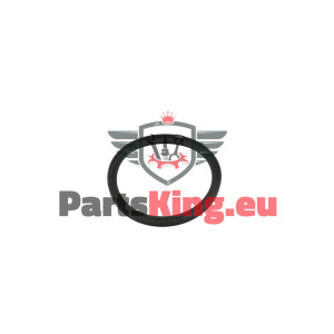 DICHTUNG FIAT TALENTO 2016-...