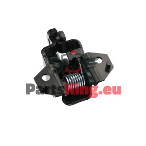 TÜRFÜHRUNG CITROEN BERLINGO...