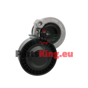 RIEMENSPANNER RENAULT...