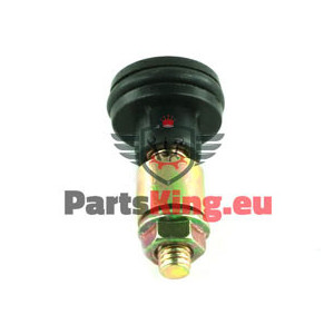 SCHIEBETÜRROLLE RENAULT...