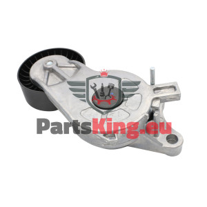 RIEMENSPANNER CITROEN...