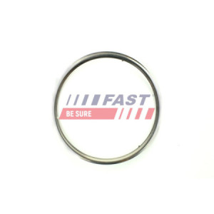 AUSPUFFDICHTUNG FIAT DUCATO...