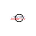 O-RING FIAT DUCATO 2006-...
