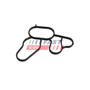 DICHTUNG  FIAT DOBLO 2009-...