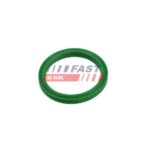 O-RING RENAULT KANGOO II...