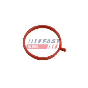 DICHTUNG  FIAT DOBLO 2009-...