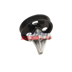 RIEMENSPANNER RENAULT...